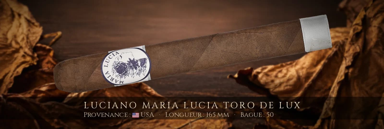 Luciano Maria Lucia Toro de Lux — Luciano — USA