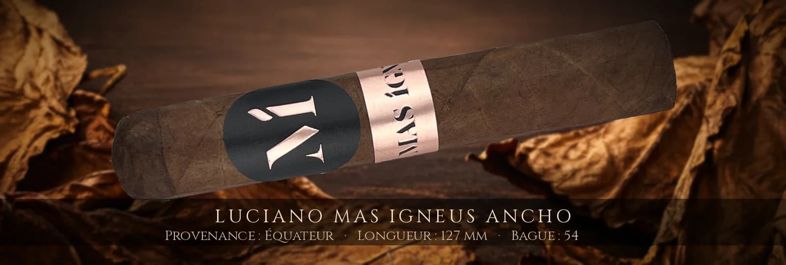 Luciano Mas Igneus Ancho — Luciano — Équateur