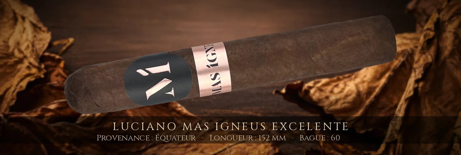 Luciano Mas Igneus Excelente — Luciano — Équateur