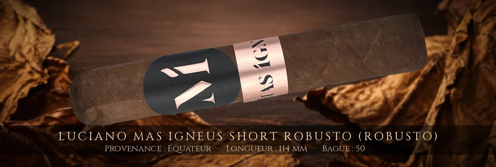 Luciano Mas Igneus Short Robusto (Robusto) — Luciano — Équateur