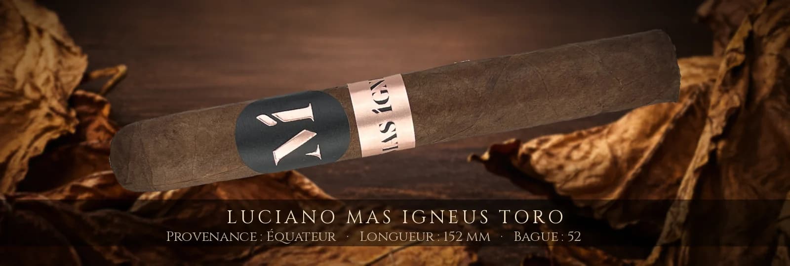 Luciano Mas Igneus Toro — Luciano — Équateur