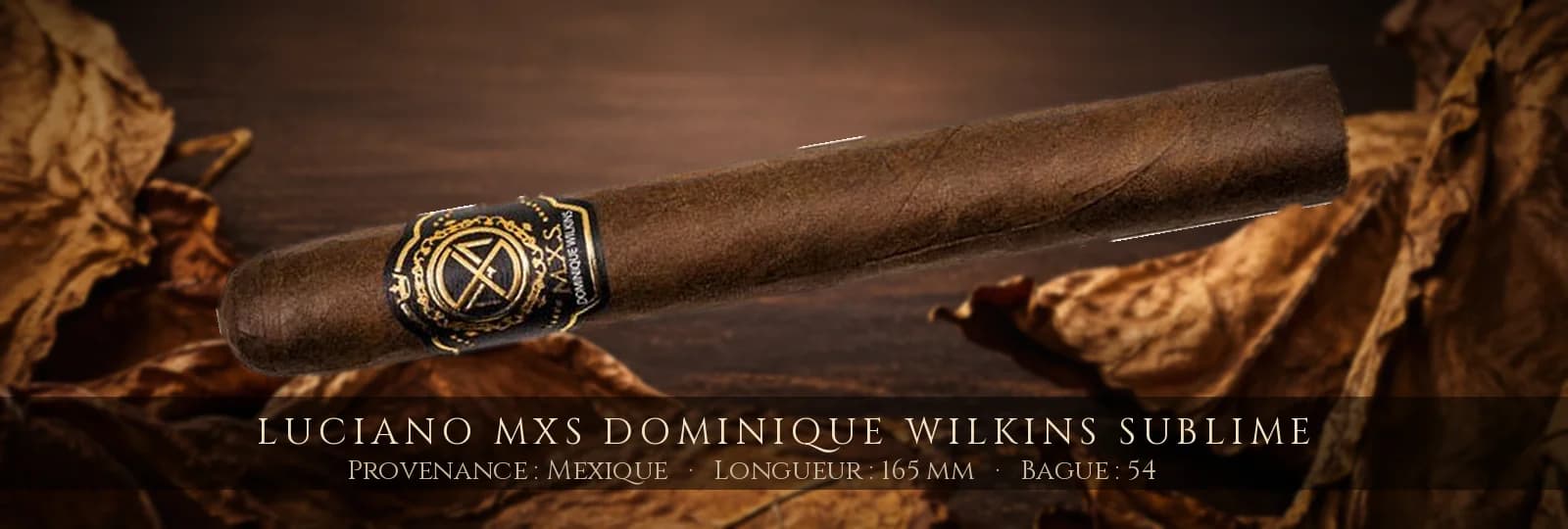 Luciano MXS Dominique Wilkins Sublime — Luciano — Mexique
