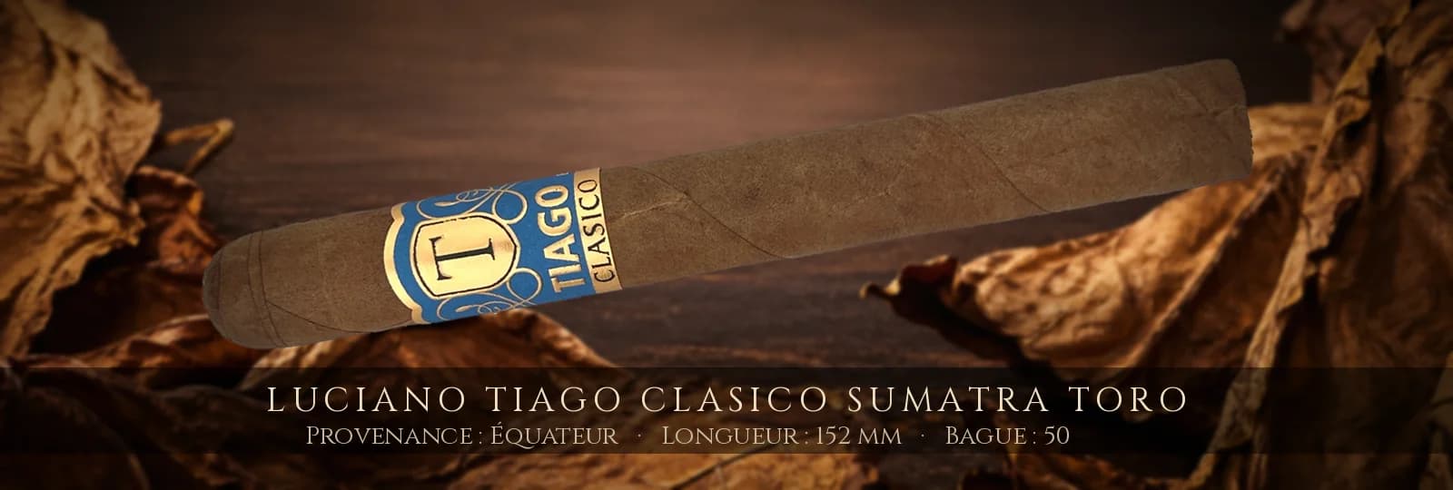 Luciano Tiago Clasico Sumatra Toro — Luciano — Équateur