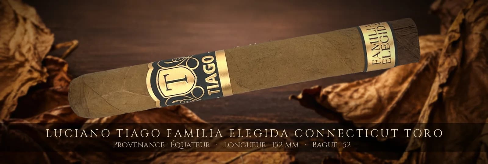 Luciano Tiago Familia Elegida Connecticut Toro — Luciano — Équateur