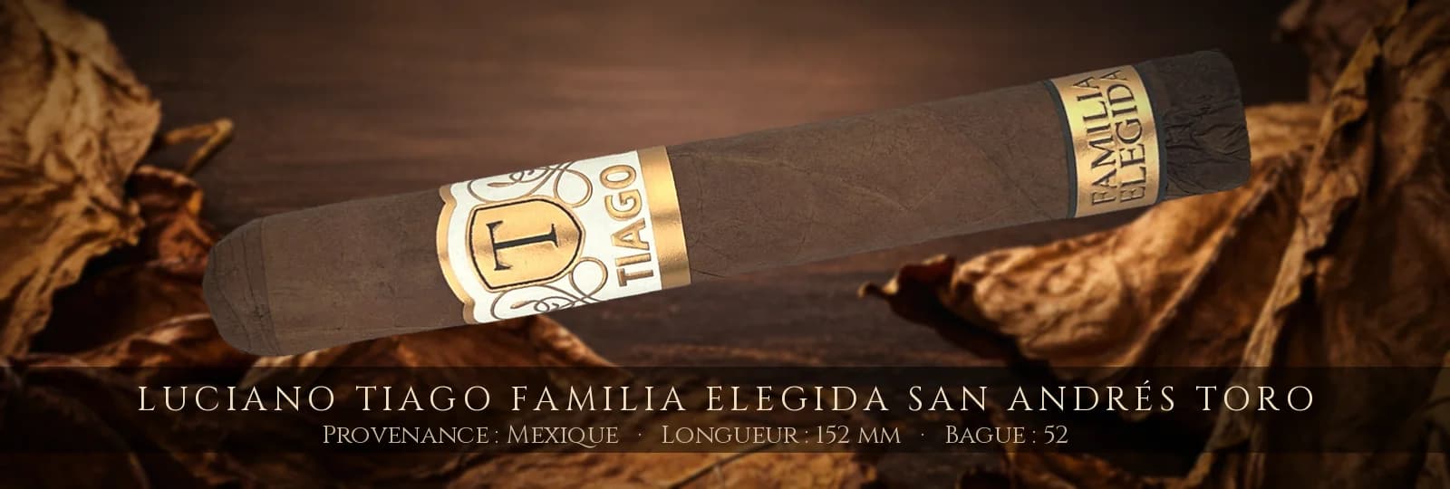 Luciano Tiago Familia Elegida San Andrés Toro — Luciano — Mexique