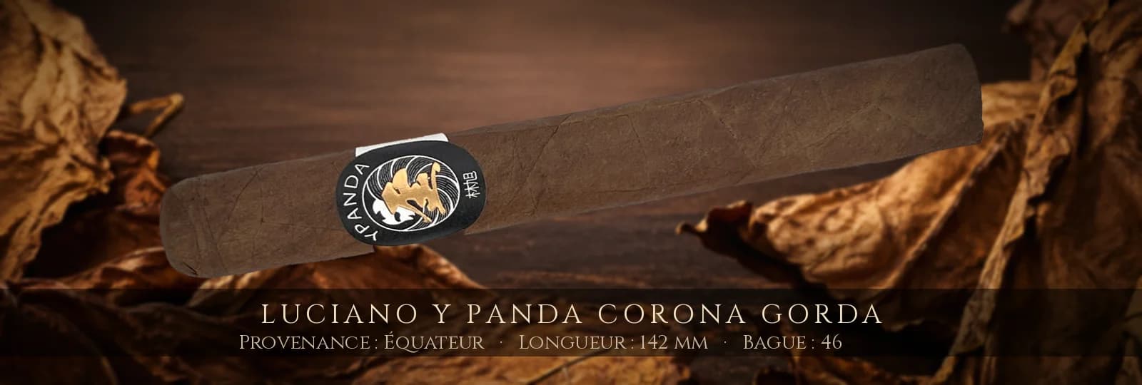Luciano Y Panda Corona Gorda — Luciano — Équateur