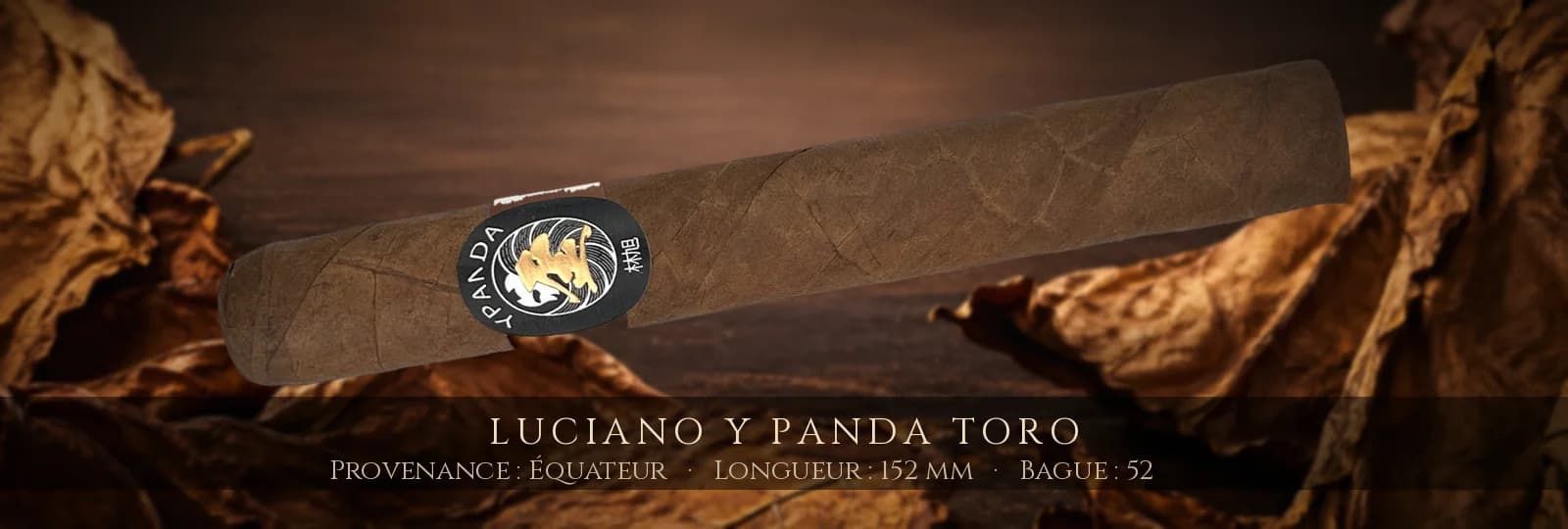 Luciano Y Panda Toro — Luciano — Équateur