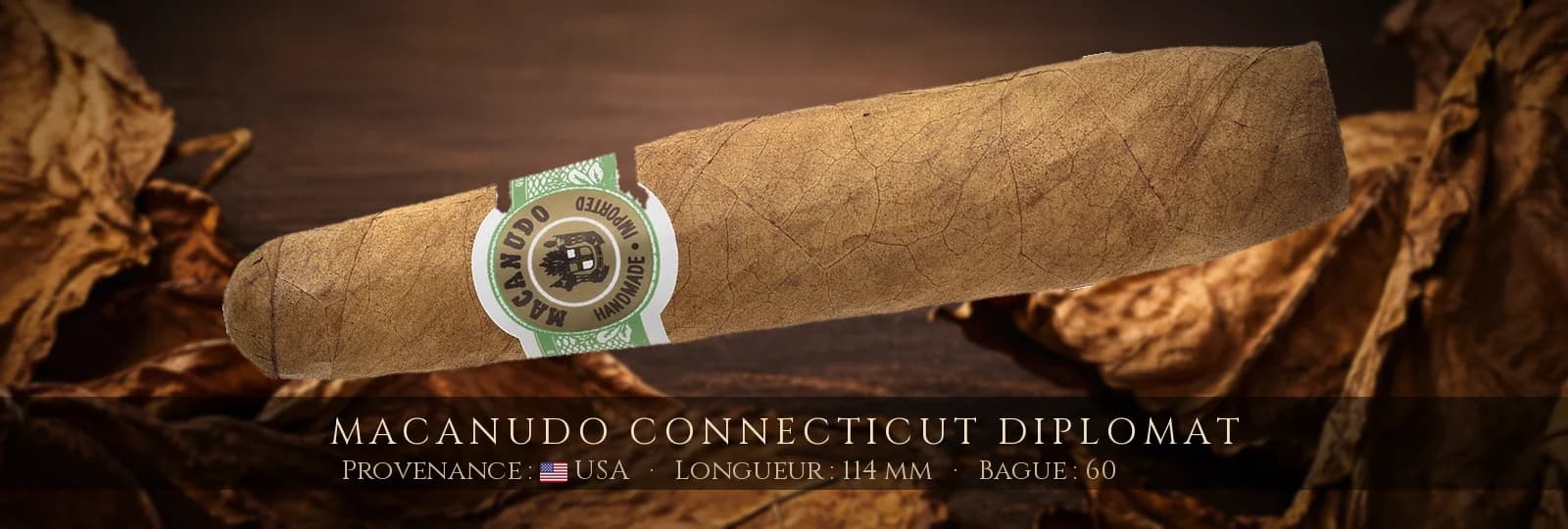 Macanudo Connecticut Diplomat — Macanudo — USA
