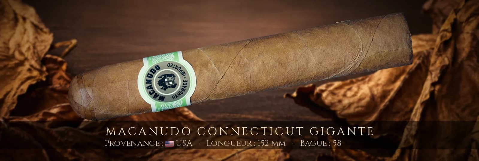 Macanudo Connecticut Gigante — Macanudo — USA