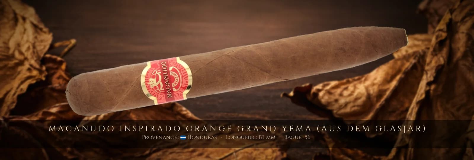 Macanudo Inspirado Orange Grand Yema (aus dem Glasjar) — Macanudo — Honduras
