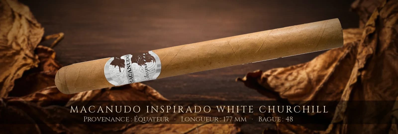 Macanudo Inspirado White Churchill — Macanudo — Équateur