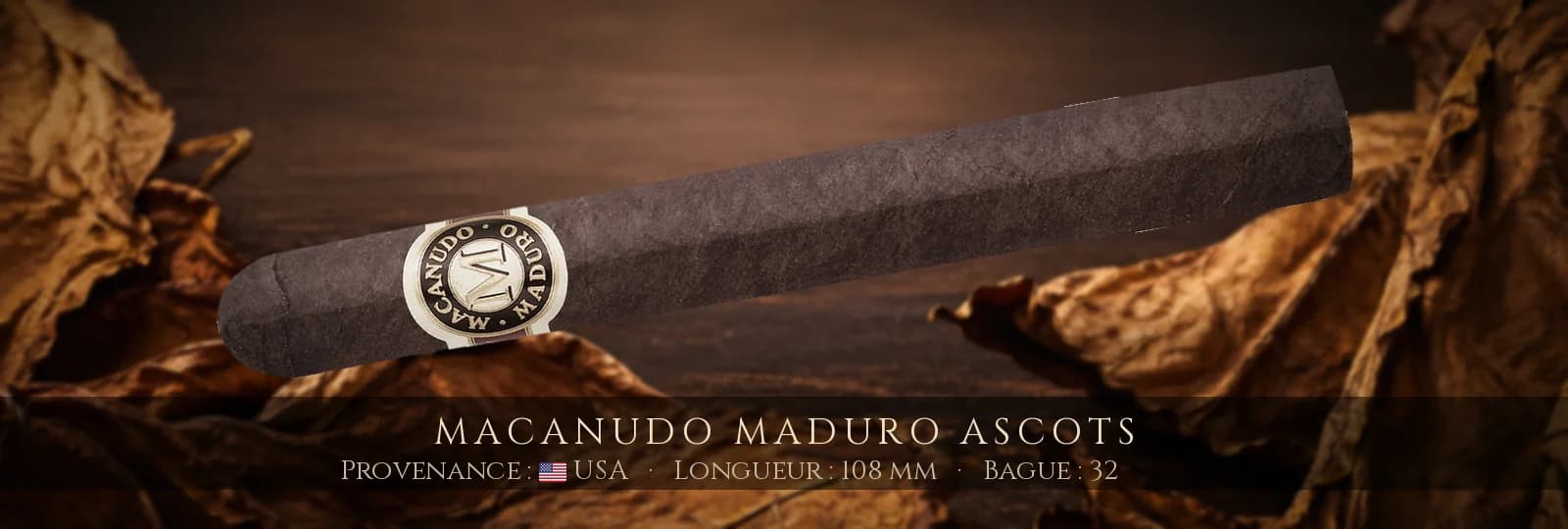 Macanudo Maduro Ascots — Macanudo — USA