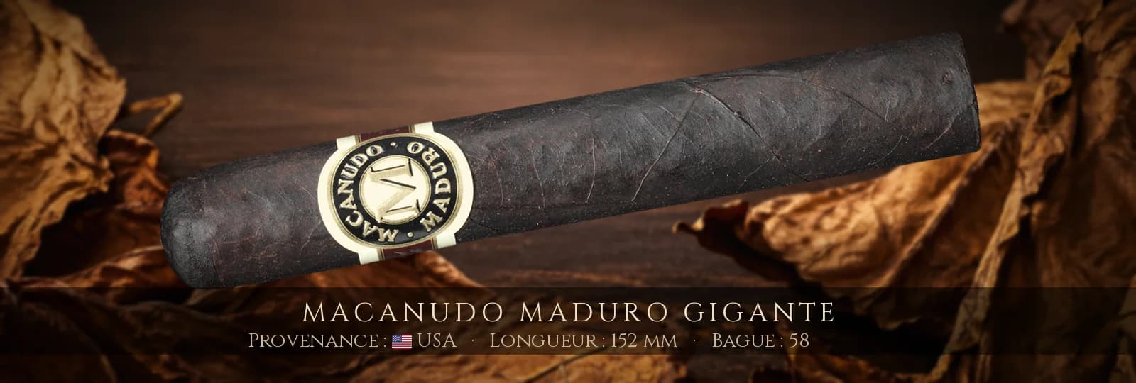 Macanudo Maduro Gigante — Macanudo — USA