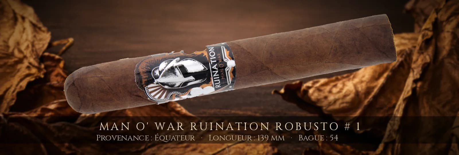 Man O' War Ruination Robusto # 1 — Man O' War — Équateur