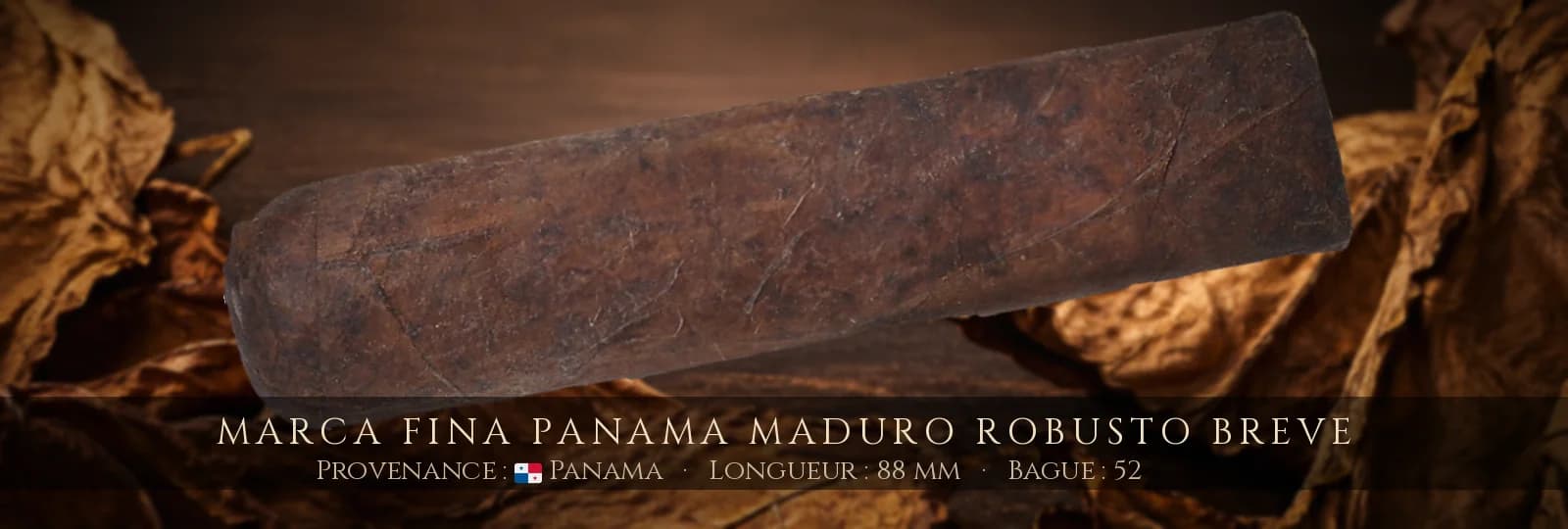 Marca Fina Panama Maduro Robusto Breve — Marca Fina — Panama