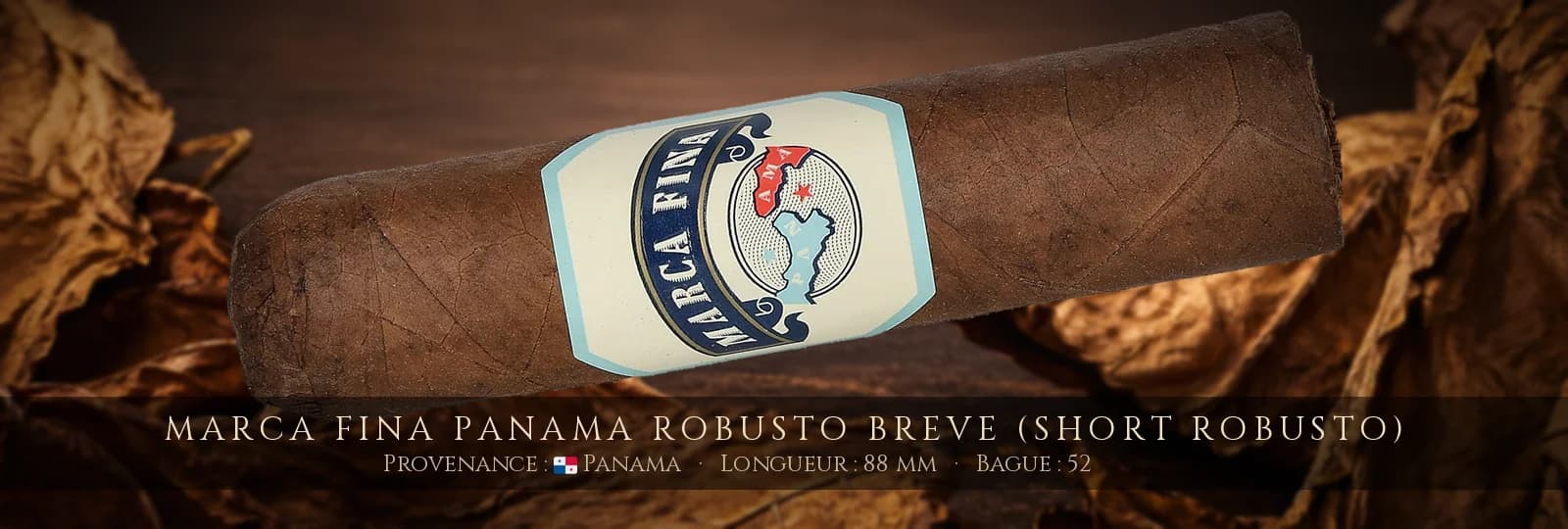 Marca Fina Panama Robusto Breve (Short Robusto) — Marca Fina — Panama