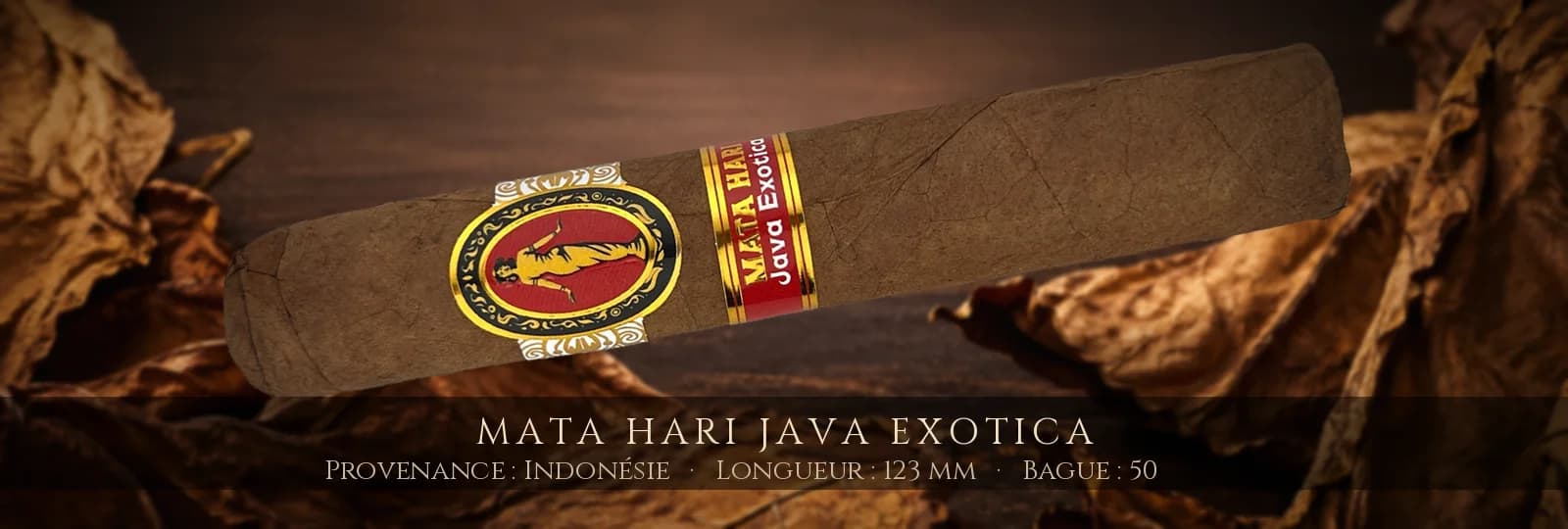 Mata Hari Java Exotica — Mata Hari — Indonésie