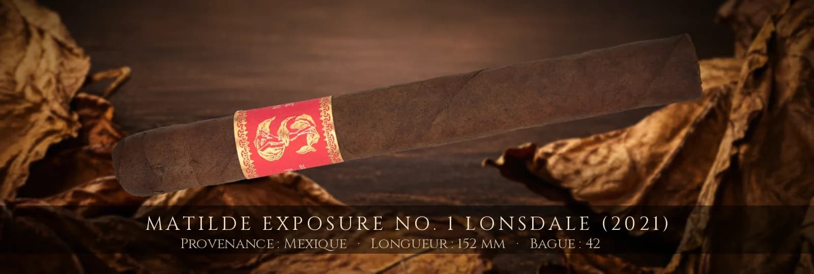 Matilde Exposure No. 1 Lonsdale (2021) — Matilde — Mexique