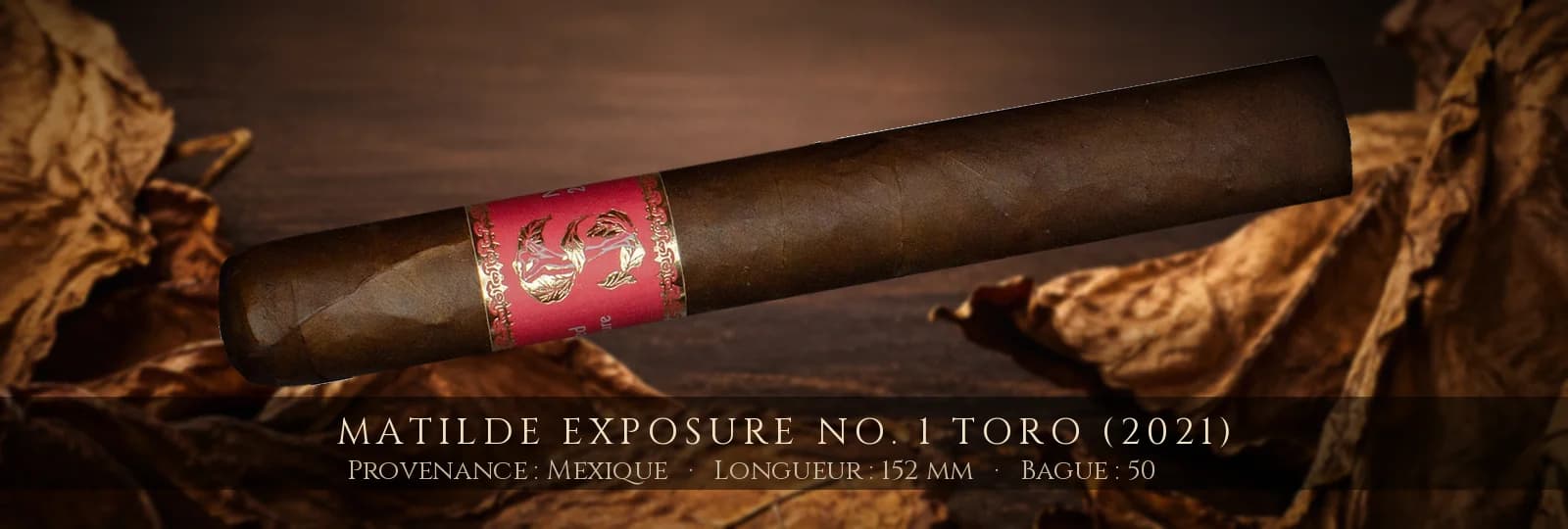 Matilde Exposure No. 1 Toro (2021) — Matilde — Mexique