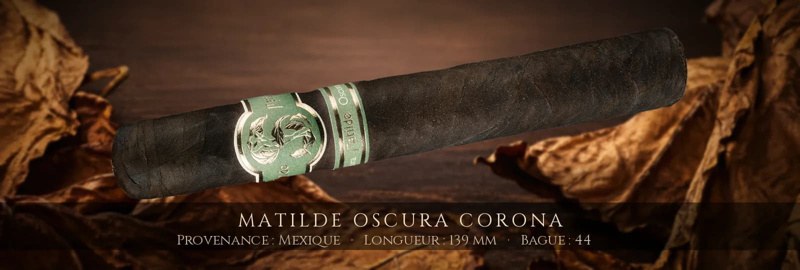 Matilde Oscura Corona — Matilde — Mexique