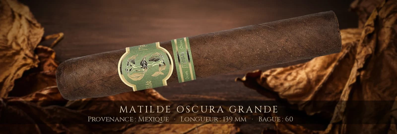 Matilde Oscura Grande — Matilde — Mexique