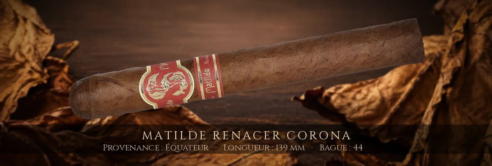 Matilde Renacer Corona — Matilde — Équateur