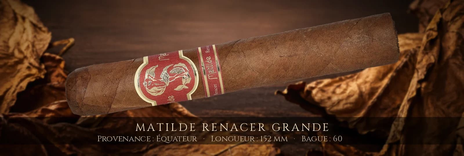 Matilde Renacer Grande — Matilde — Équateur