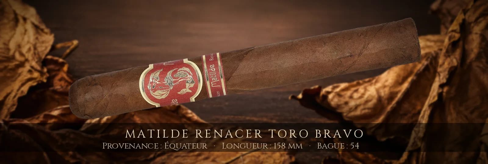 Matilde Renacer Toro Bravo — Matilde — Équateur