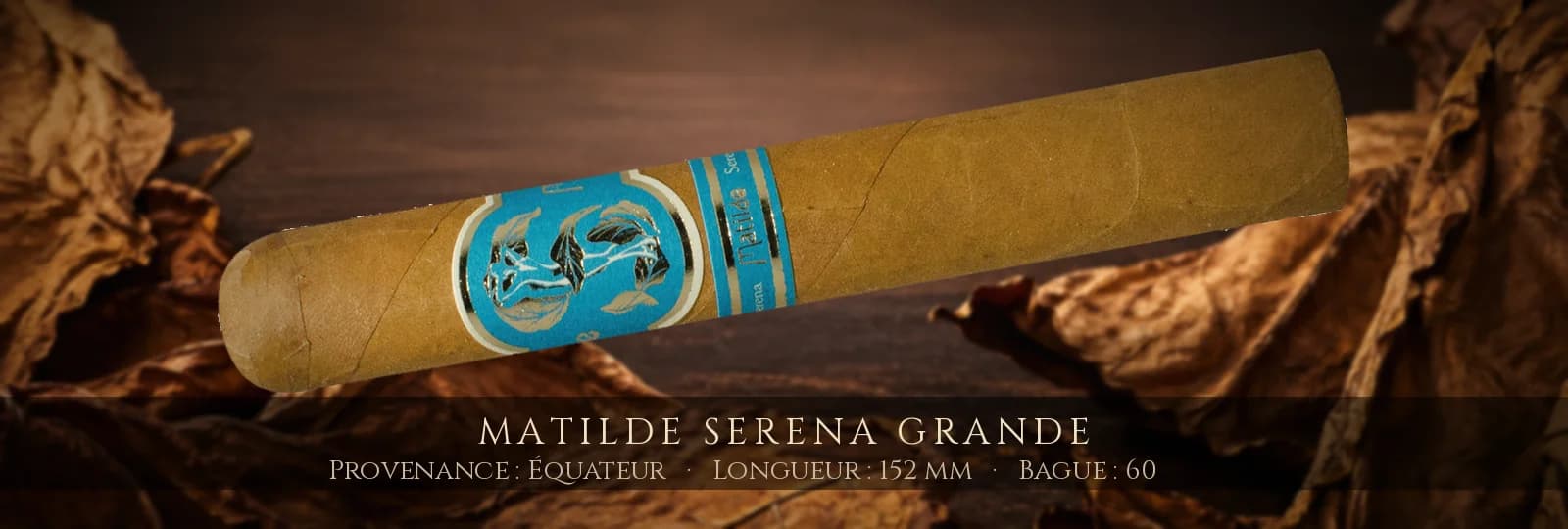 Matilde Serena Grande — Matilde — Équateur