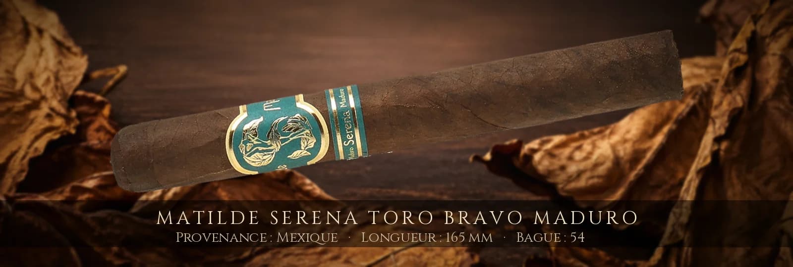 Matilde Serena Toro Bravo Maduro — Matilde — Mexique