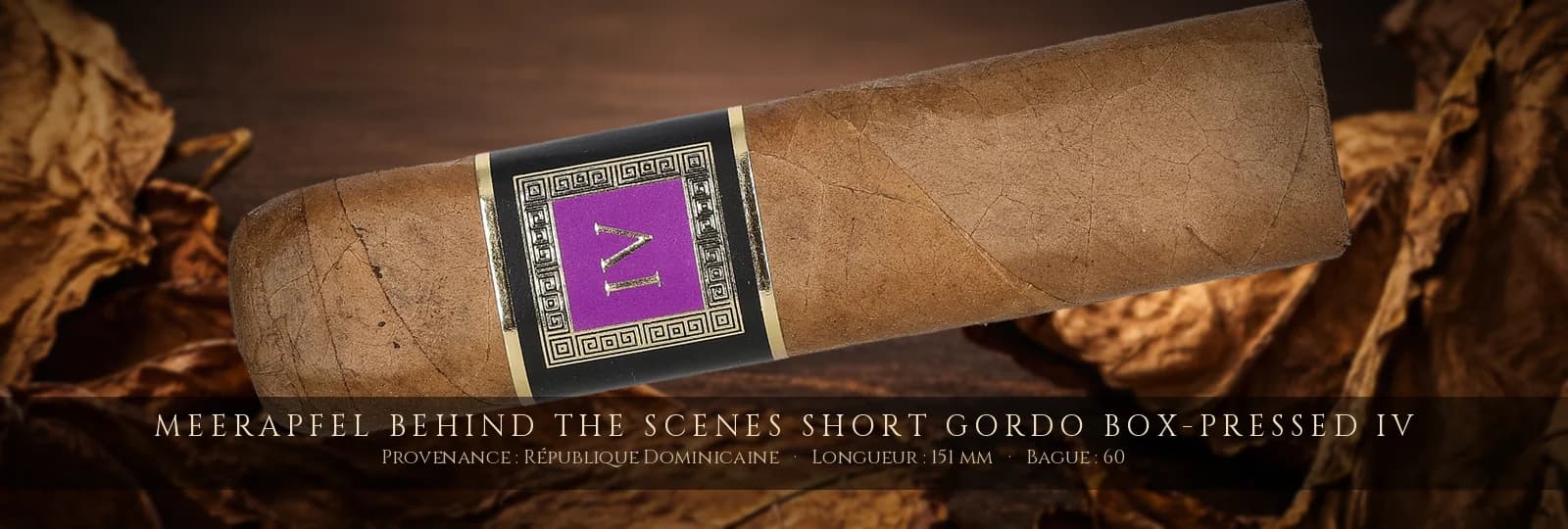 Meerapfel Behind The Scenes Short Gordo Box-Pressed IV — Meerapfel — République Dominicaine