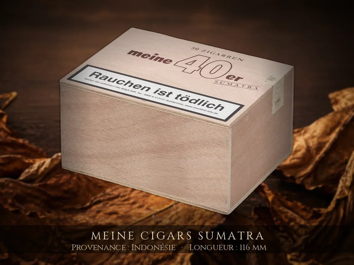 Meine Cigars Sumatra — Meine — Indonésie