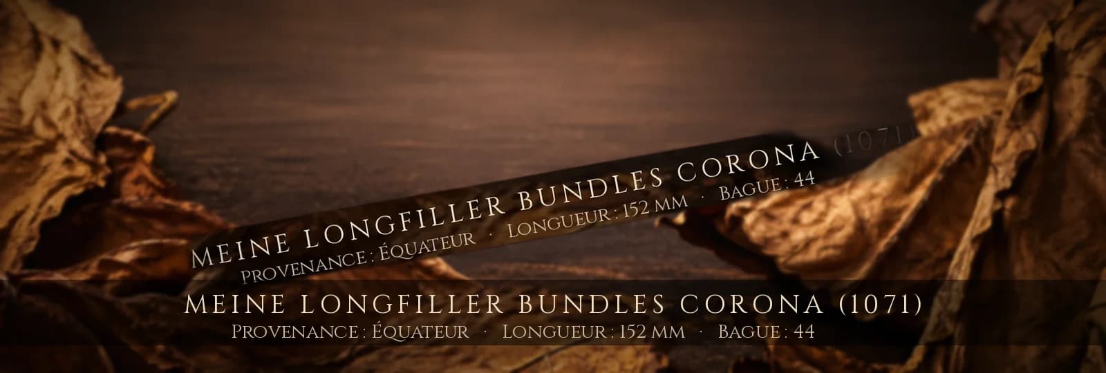 Meine Longfiller Bundles Corona (1071) — Meine — Équateur