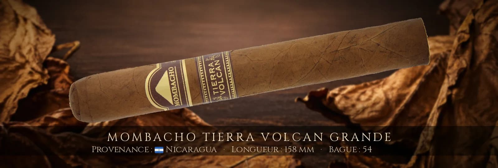 Mombacho Tierra Volcan Grande — Mombacho — Nicaragua
