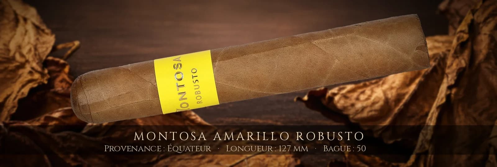 Montosa Amarillo Robusto — Montosa — Équateur