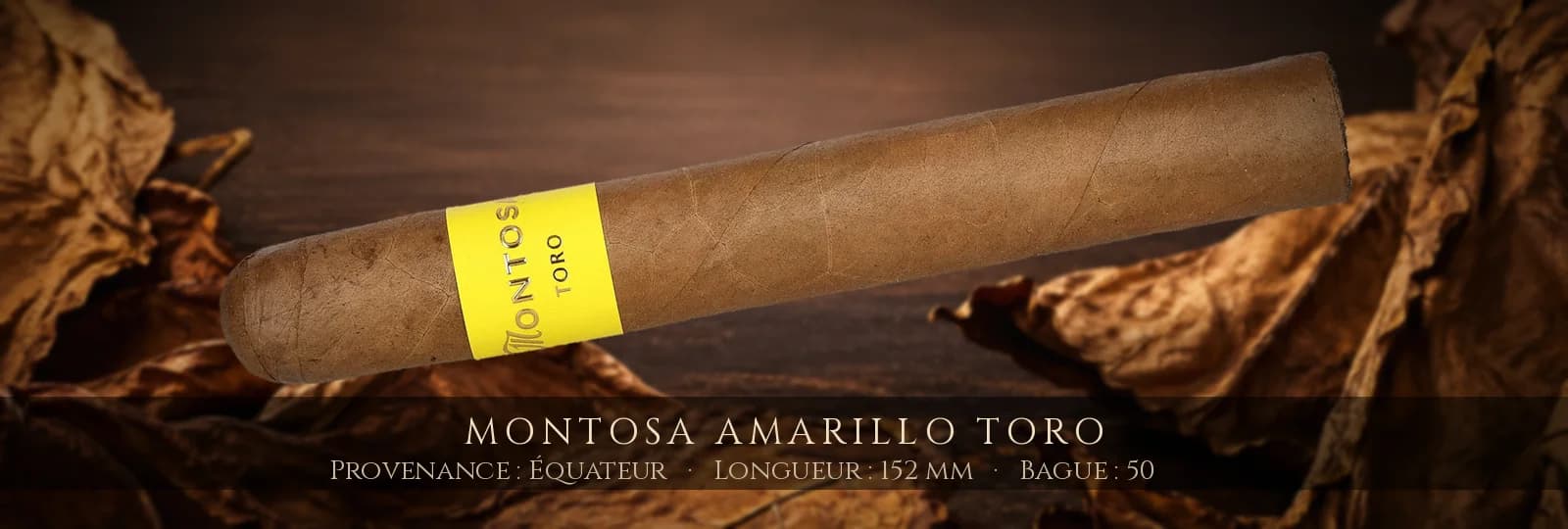 Montosa Amarillo Toro — Montosa — Équateur