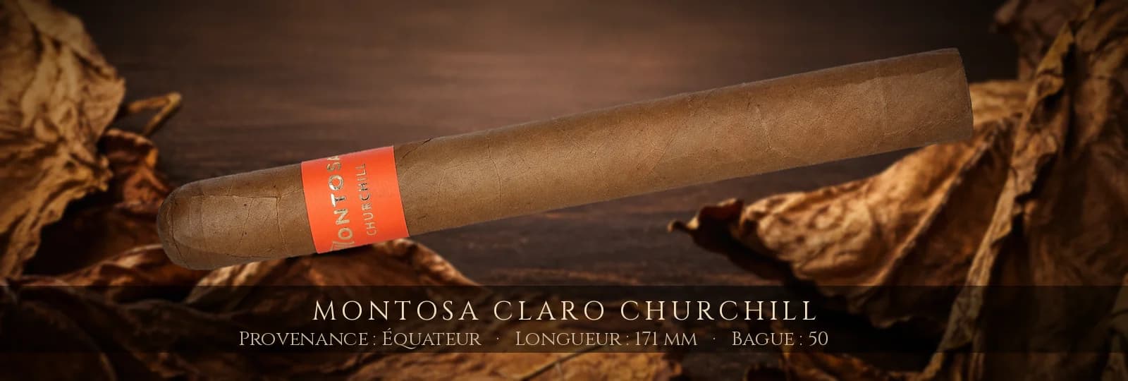 Montosa Claro Churchill — Montosa — Équateur