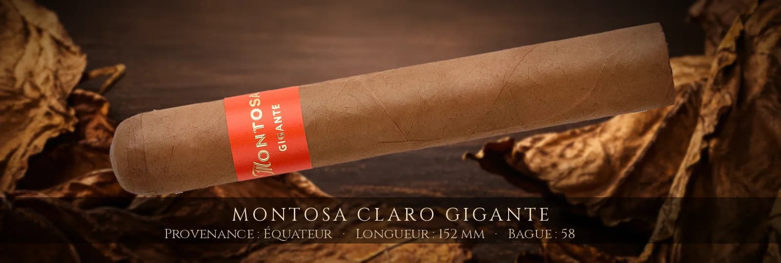 Montosa Claro Gigante — Montosa — Équateur