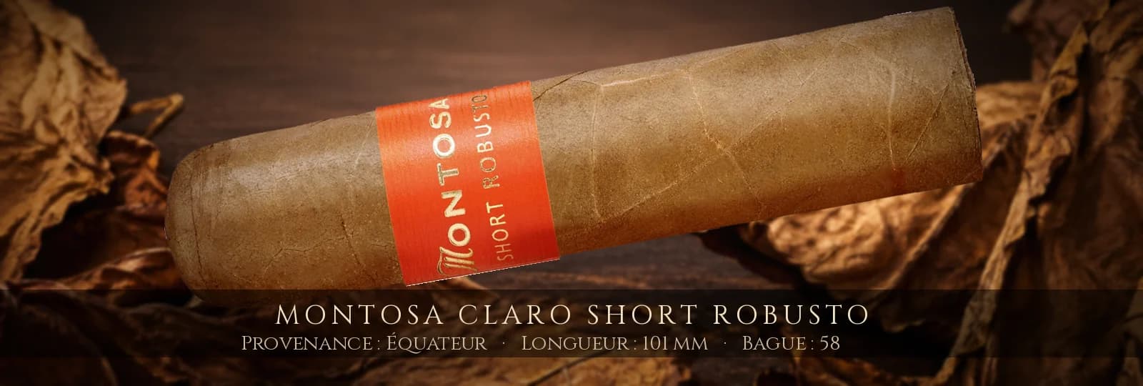 Montosa Claro Short Robusto — Montosa — Équateur