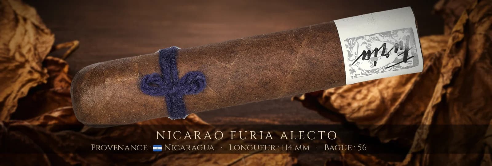 Nicarao Furia Alecto — Nicarao — Nicaragua