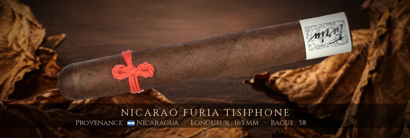 Nicarao Furia Tisiphone — Nicarao — Nicaragua