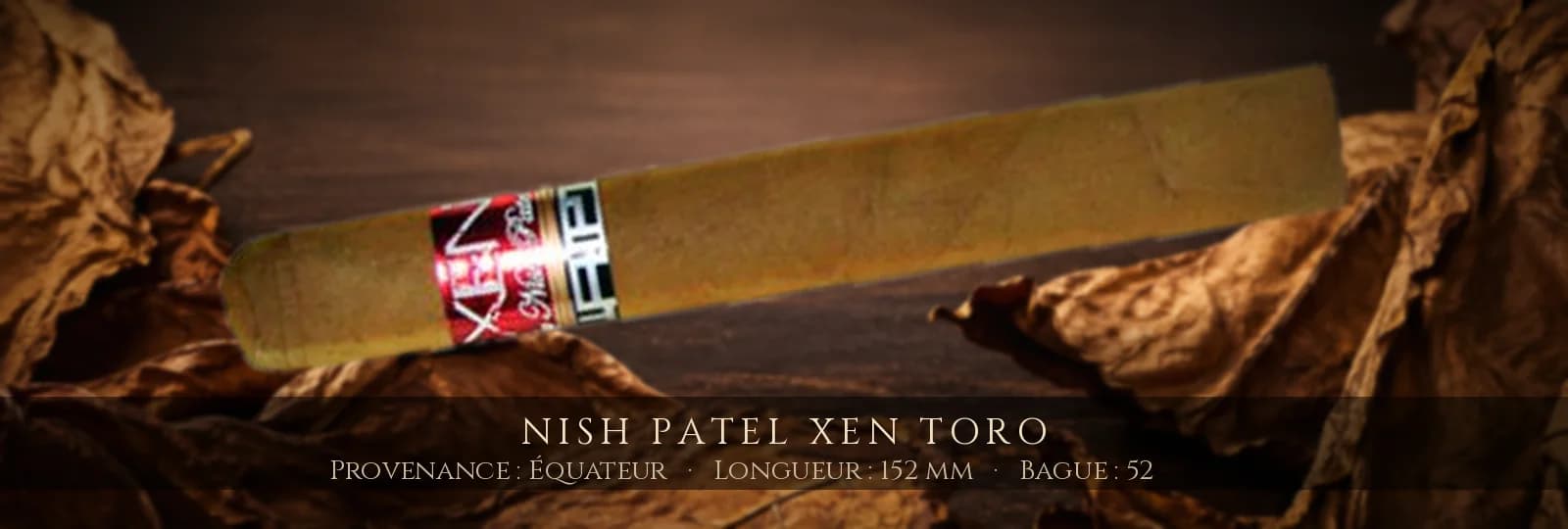 Nish Patel Xen Toro — Nish Patel — Équateur