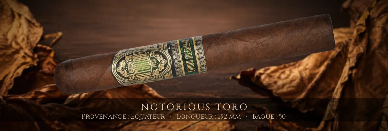 Notorious Toro — Notorious — Équateur