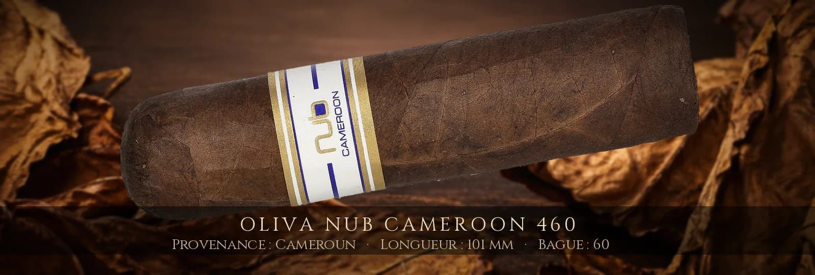 Oliva NUB Cameroon 460 — Oliva — Cameroun