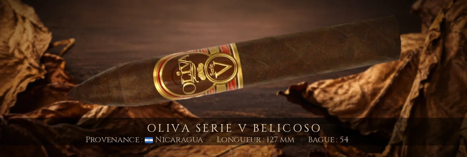 Oliva Serie V Belicoso — Oliva — Nicaragua