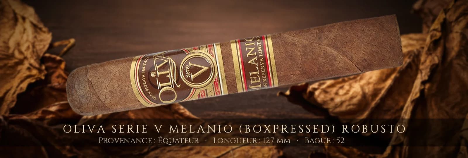 Oliva Serie V Melanio (Boxpressed) Robusto — Oliva — Équateur