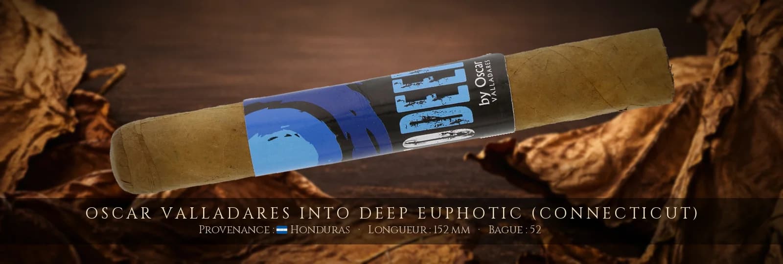 Oscar Valladares Into Deep Euphotic (Connecticut) — Oscar Valladares — Honduras