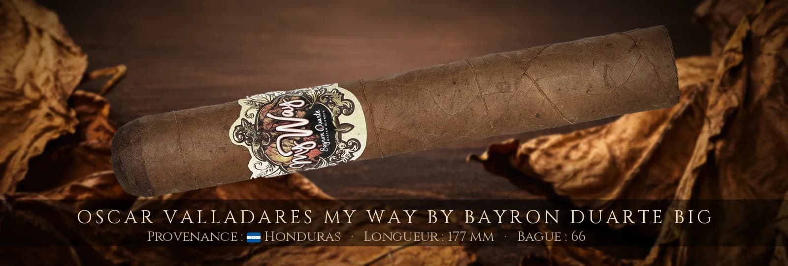 Oscar Valladares My Way by Bayron Duarte Big — Oscar Valladares — Honduras