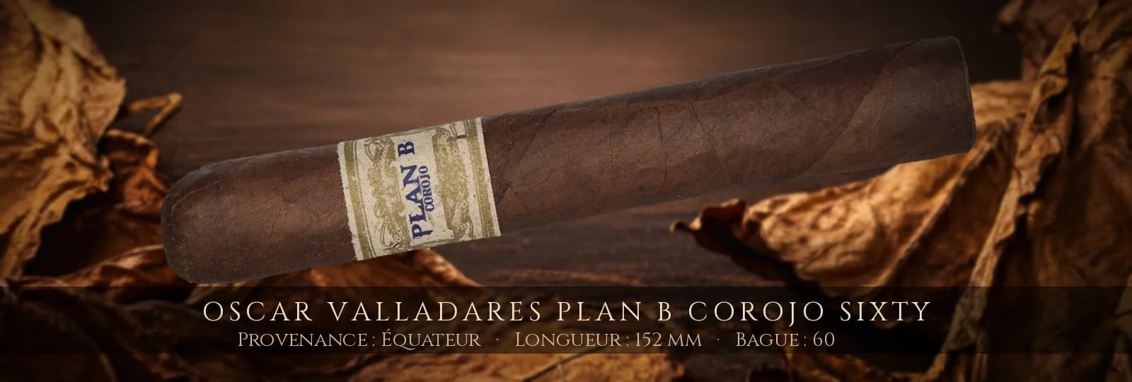 Oscar Valladares Plan B Corojo Sixty — Oscar Valladares — Équateur