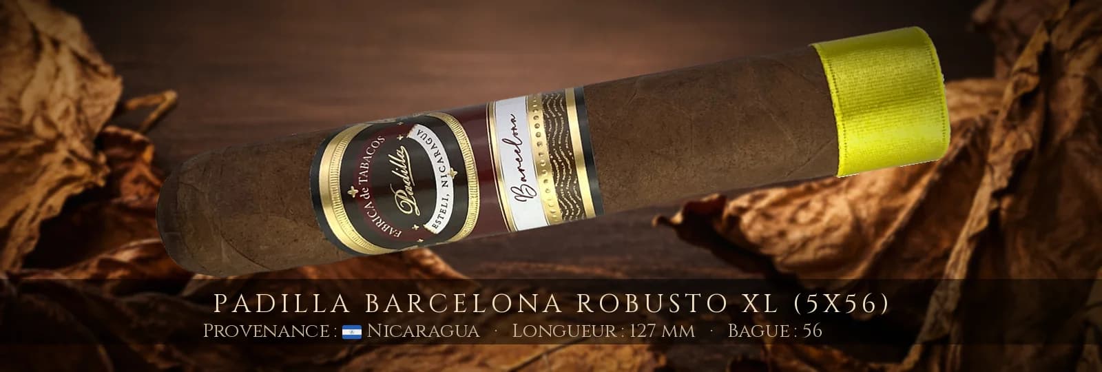 Padilla Barcelona Robusto XL (5x56) — Padilla — Nicaragua